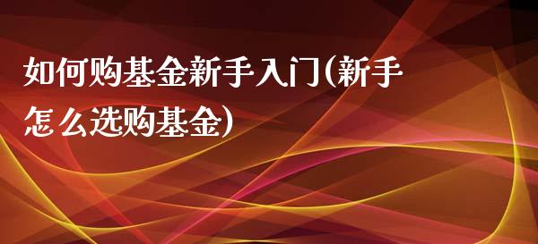 如何购基金新手入门(新手怎么选购基金)