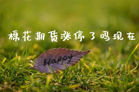 棉花期货涨停了吗现在