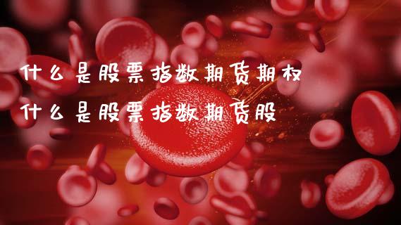 什么是股票指数期货期权 什么是股票指数期货股