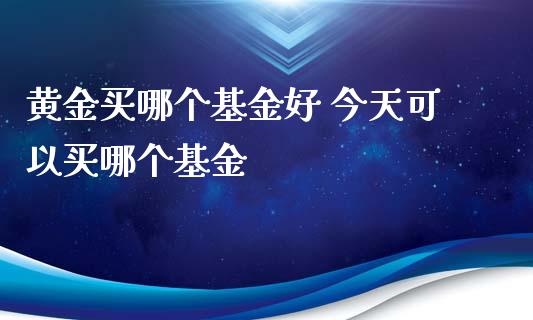 黄金买哪个基金好 今天可以买哪个基金