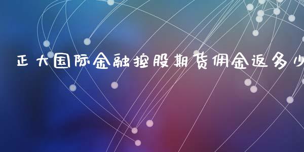 正大国际金融控股期货佣金返多少