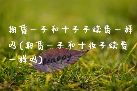 期货一手和十手手续费一样吗(期货一手和十收手续费一样吗)