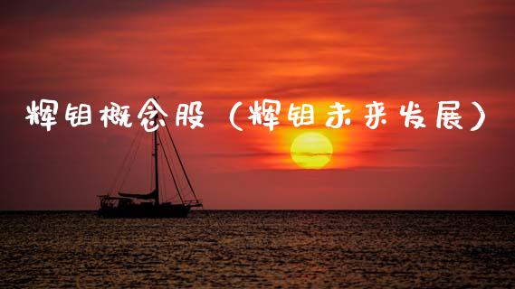 辉钼概念股（辉钼未来发展）