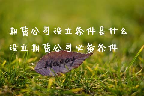 期货公司设立条件是什么 设立期货公司必备条件