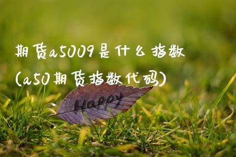 期货a5009是什么指数(a50期货指数代码)