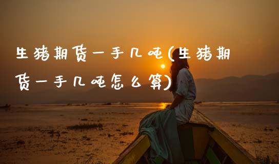 生猪期货一手几吨(生猪期货一手几吨怎么算)