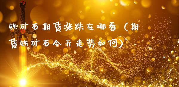 铁矿石期货涨跌在哪看（期货铁矿石今天走势如何）