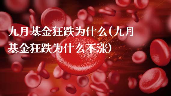 九月基金狂跌为什么(九月基金狂跌为什么不涨)