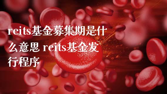reits基金募集期是什么意思 reits基金发行程序