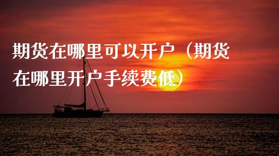 期货在哪里可以开户（期货在哪里开户手续费低）