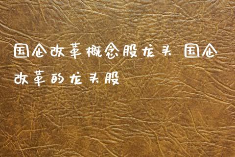 国企概念股龙头 国企的龙头股