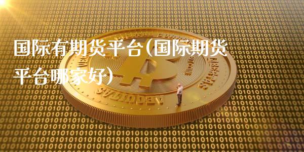 国际有期货平台(国际期货平台哪家好)
