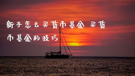 新手怎么买货币基金 买货币基金的技巧_基金理财_第1张_宇龙理财网 新手怎么买货币基金 买货币基金的技巧_https://www.dglong8.com_基金理财_第1张