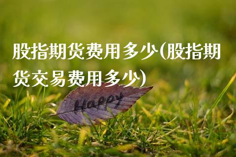 股指期货费用多少(股指期货交易费用多少)