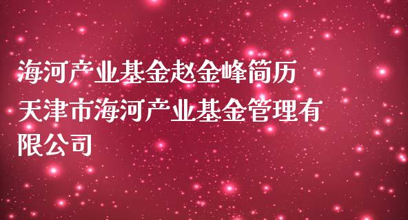 海河产业基金赵金峰简历 天津市海河产业基金管理有限公司