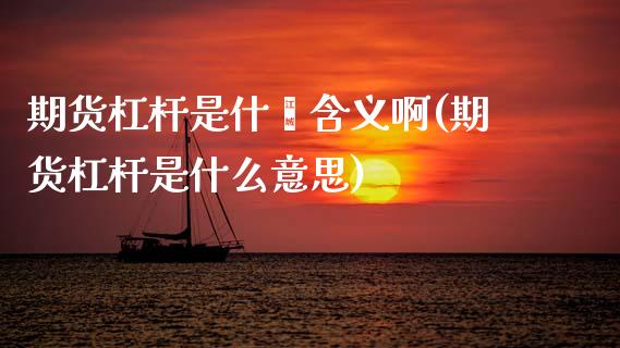 期货杠杆是什麽含义啊(期货杠杆是什么意思)