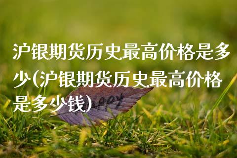 沪银期货历史最高价格是多少(沪银期货历史最高价格是多少钱)