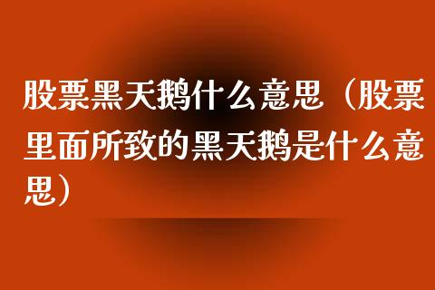 股票黑天鹅什么意思（股票里面所致的黑天鹅是什么意思）