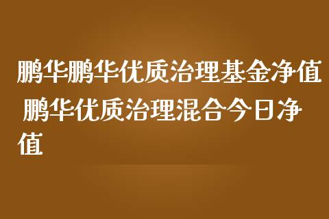 鹏华鹏华优质治理基金净值 鹏华优质治理混合今日净值