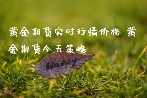 黄金期货实时行情价格 黄金期货今天策略