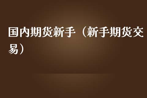 国内期货新手（新手期货交易）