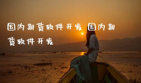 国内期货软件开发 国内期货软件开发