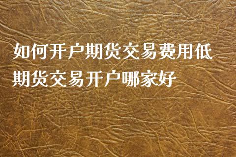如何开户期货交易费用低 期货交易开户哪家好_https://www.dglong8.com_理财百科_第1张