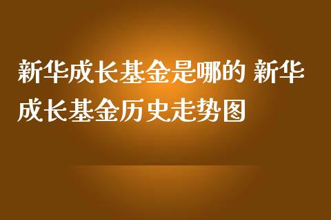 新华成长基金是哪的 新华成长基金历史走势图_基金理财_第1张_宇龙理财网 新华成长基金是哪的 新华成长基金历史走势图_https://www.dglong8.com_基金理财_第1张