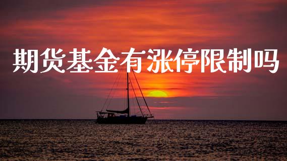期货基金有涨停限制吗