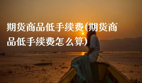 期货商品低手续费(期货商品低手续费怎么算)