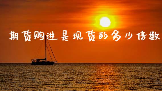 期货购进是现货的多少倍数