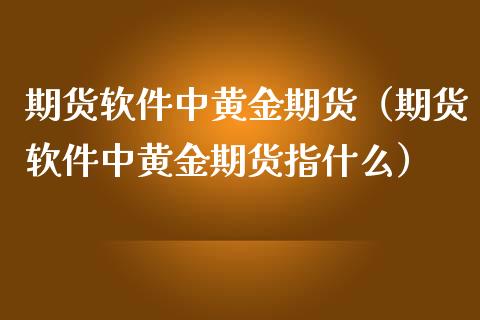 期货软件中黄金期货（期货软件中黄金期货指什么）
