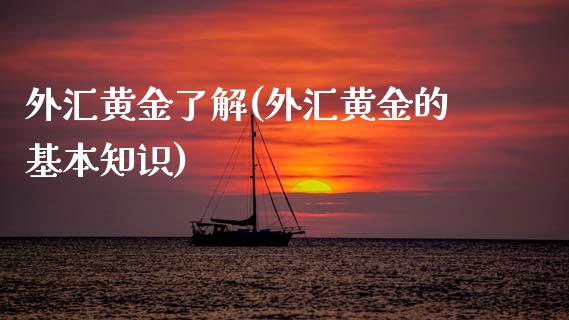 外汇黄金了解(外汇黄金的基本知识)