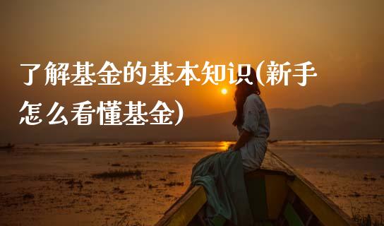 了解基金的基本知识(新手怎么看懂基金)