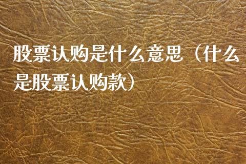 股票认购是什么意思（什么是股票认购款）