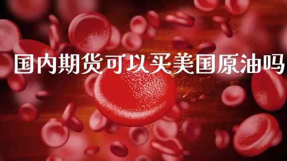 国内期货可以买美国原油吗