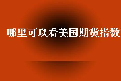 哪里可以看美国期货指数