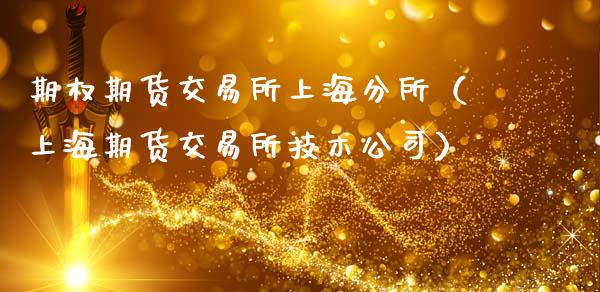 期权期货交易所上海分所（上海期货交易所技术公司）