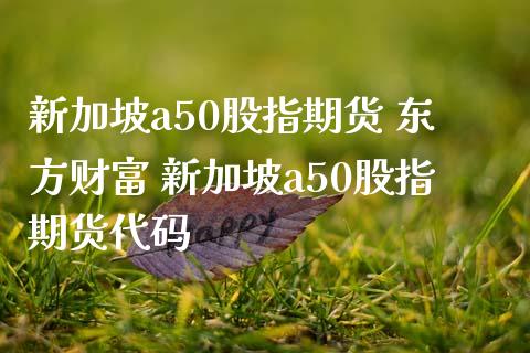 新加坡a50股指期货 东方财富 新加坡a50股指期货代码