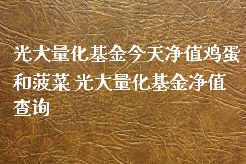 光大量化基金今天净值鸡蛋和菠菜 光大量化基金净值查询