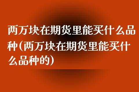 两万块在期货里能买什么品种(两万块在期货里能买什么品种的)