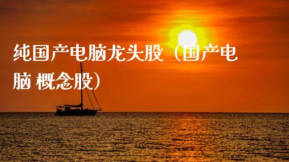 纯国产电脑龙头股（国产电脑 概念股）