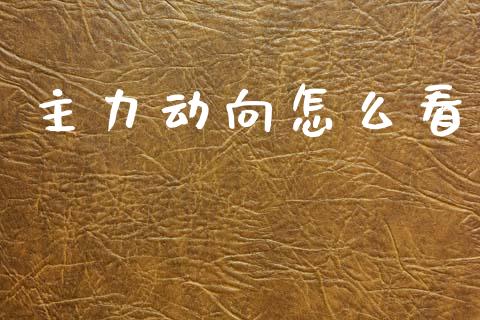 主力动向怎么看