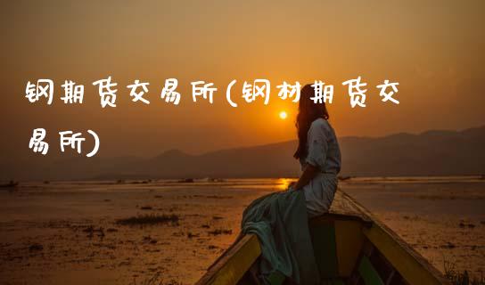 钢期货交易所(钢材期货交易所)