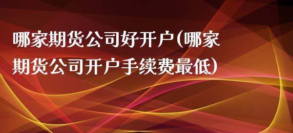 哪家期货公司好开户(哪家期货公司开户手续费最低)