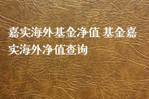 嘉实海外基金净值 基金嘉实海外净值查询
