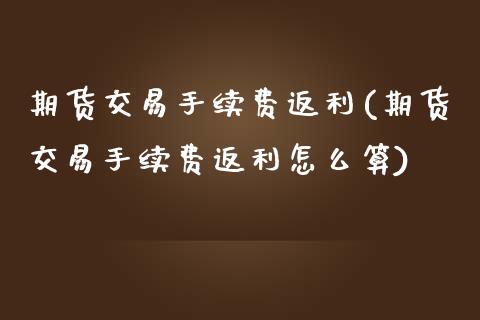 期货交易手续费返利(期货交易手续费返利怎么算)