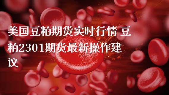 美国豆粕期货实时行情 豆粕2301期货最新操作建议
