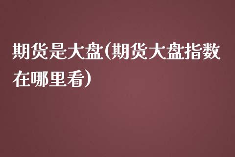期货是大盘(期货大盘指数在哪里看)