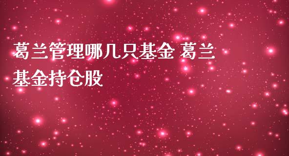 葛兰管理哪几只基金 葛兰基金持仓股_基金理财_第1张_宇龙理财网 葛兰管理哪几只基金 葛兰基金持仓股_https://www.dglong8.com_基金理财_第1张